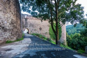 Read more about the article Neckarsteig-Etappe 4: von der Burg ins Waldklassenzimmer