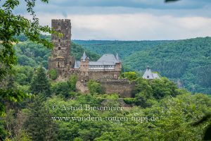 Read more about the article Auf dem Wispertaunussteig Burgen und ruhige Wälder genießen